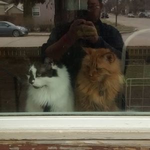 Meet your Posher, Christopher